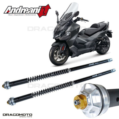 SYM Maxsym TL 500 2020 Patrone ANDREANI 110/SY1E MISANO EVO