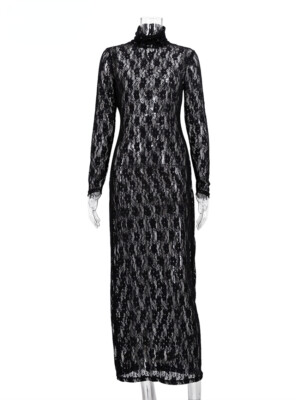 Sexy See Through Black Womens Dress Turtleneck Long Sleeve Maxi Dress  Female | eBay