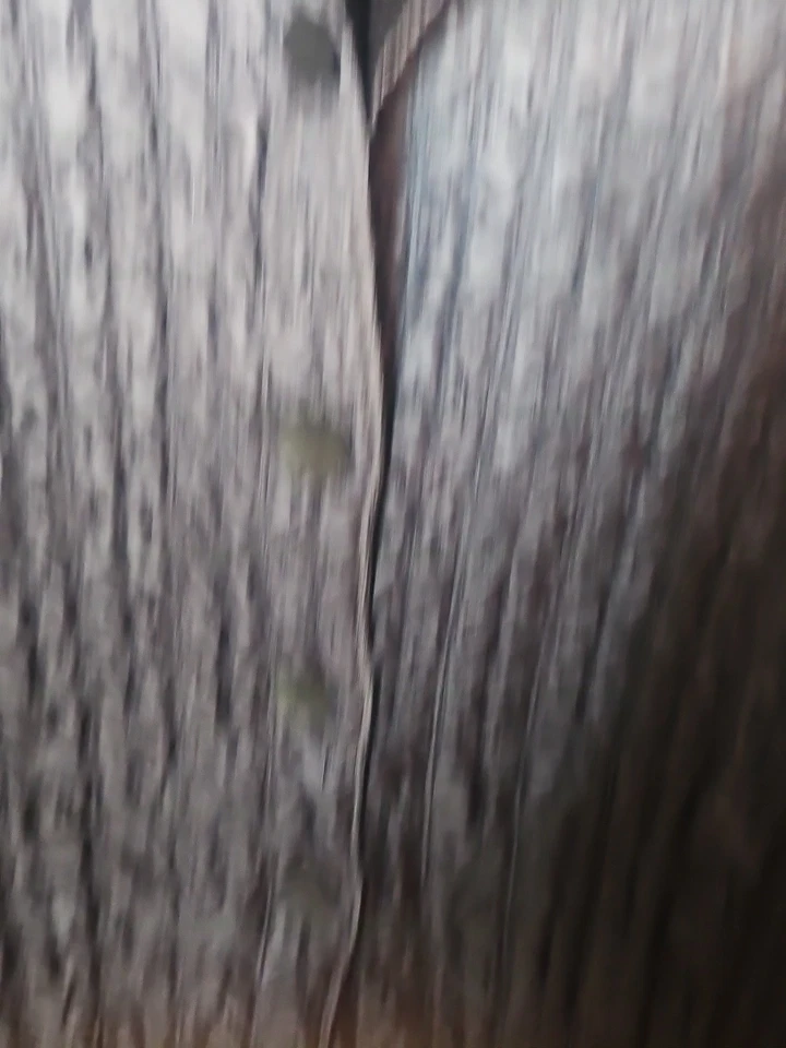 Elena Solano Women’s Quilted Jacket Lightweight Polyester Stretchable Size 1X - Image 4 of 4