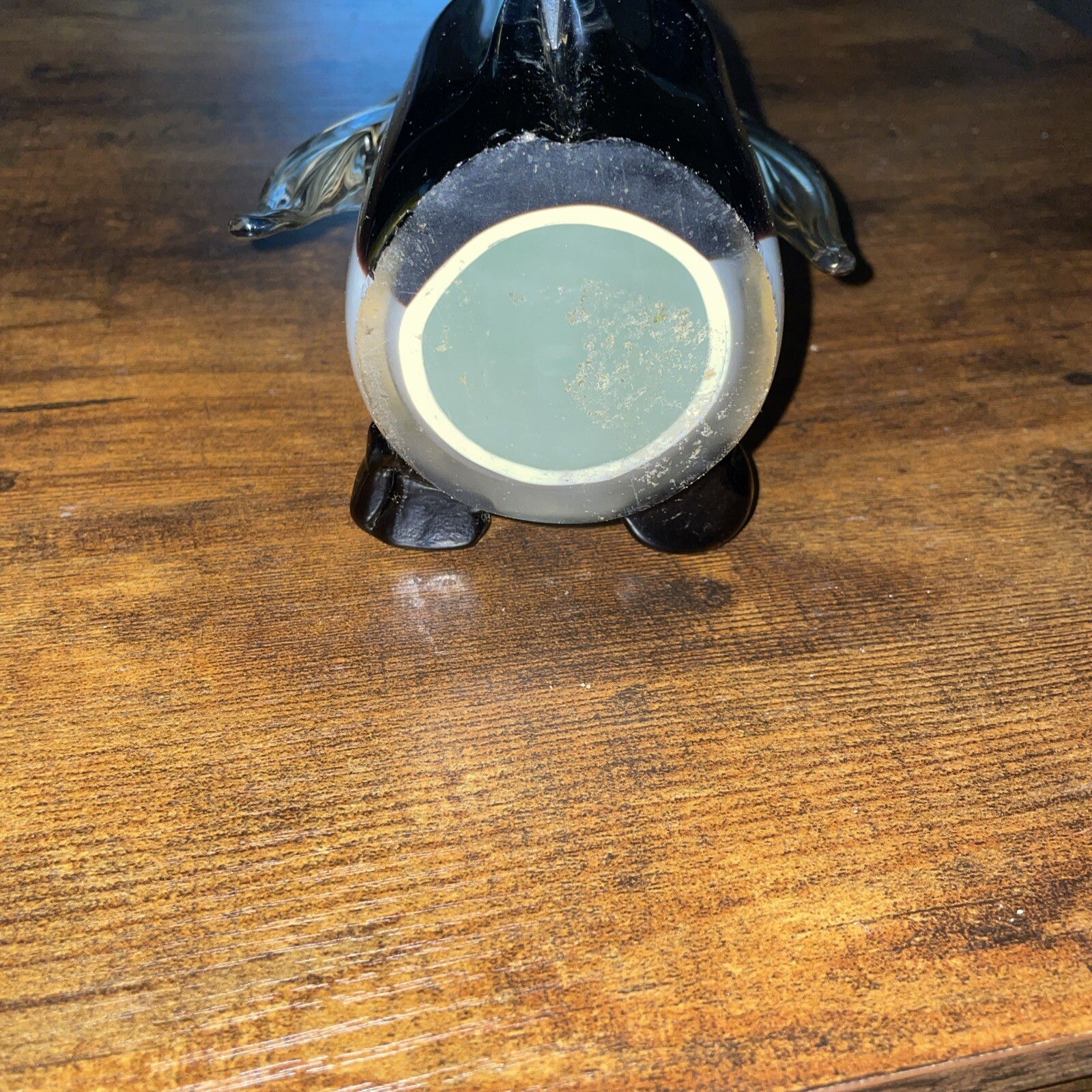 Picture 5 of 5