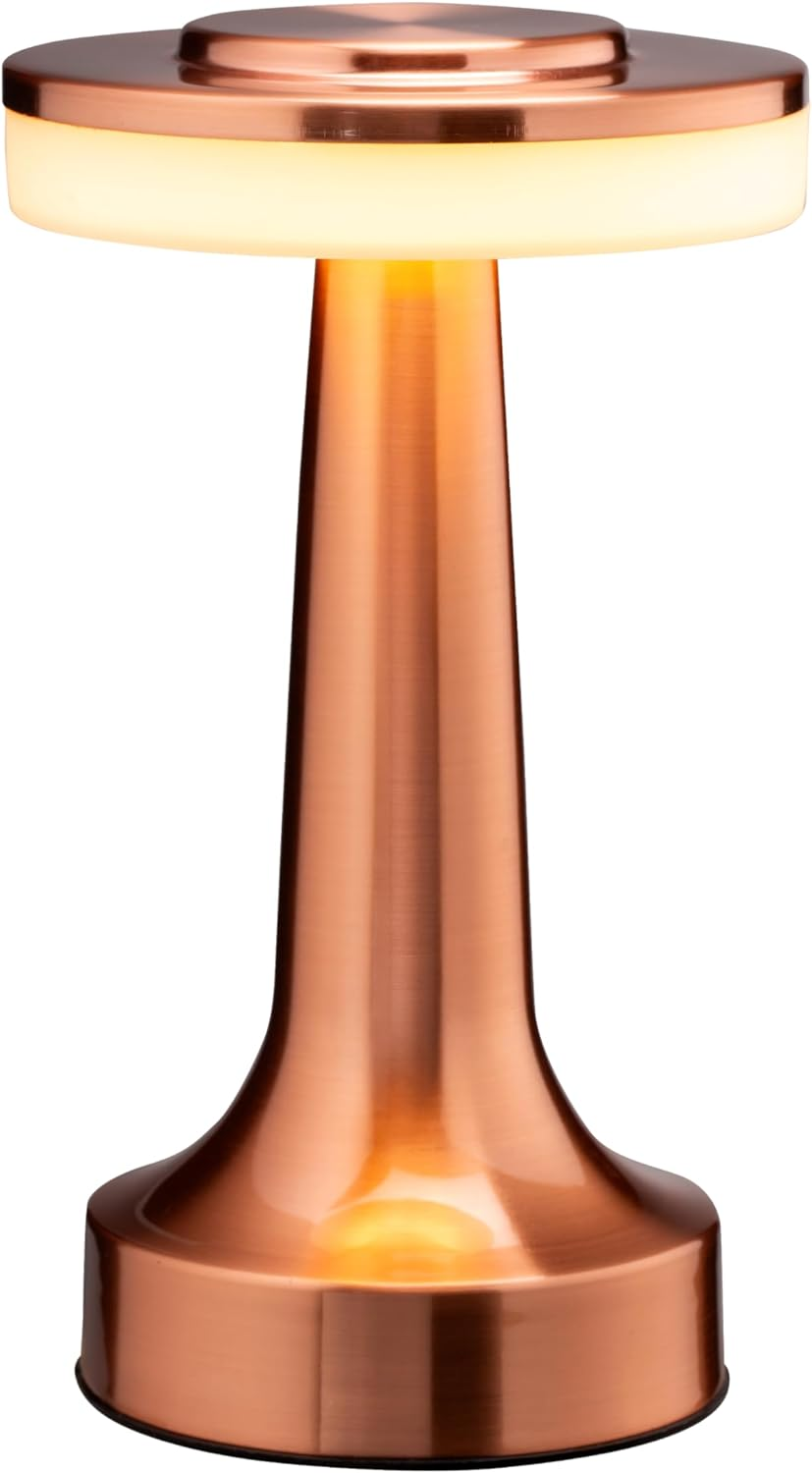 O’Bright Touch Sensor LED Table Lamp with 3-Level Brightness & USB Rechargeable Battery