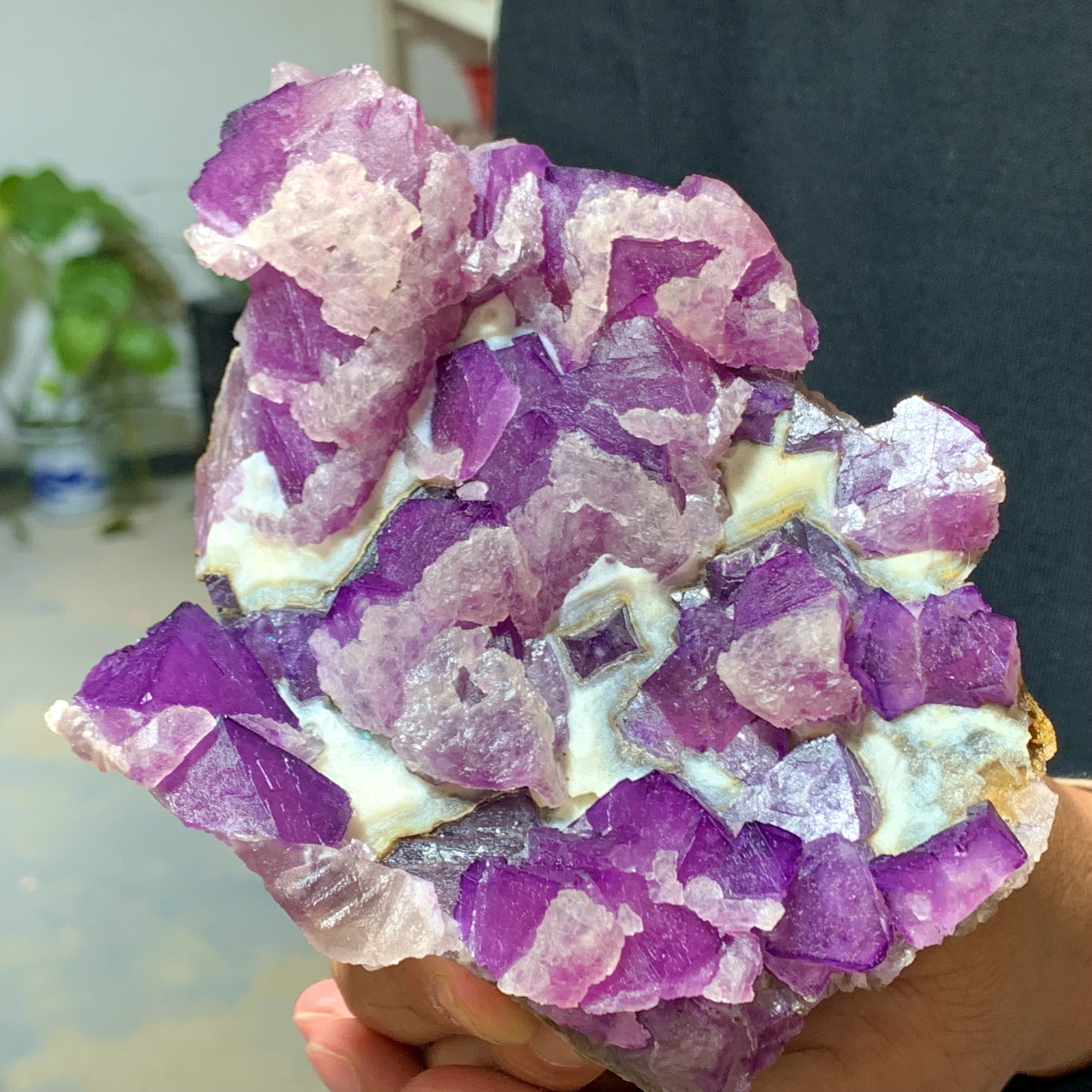 1.53LB Rare Transparent Purple Cubic Fluorite Crystal Specimen from China