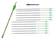 12 Stk. Carbonpfeile Pfeile Carbon Shocq Inceptor mit Stahlspitze Spine 600