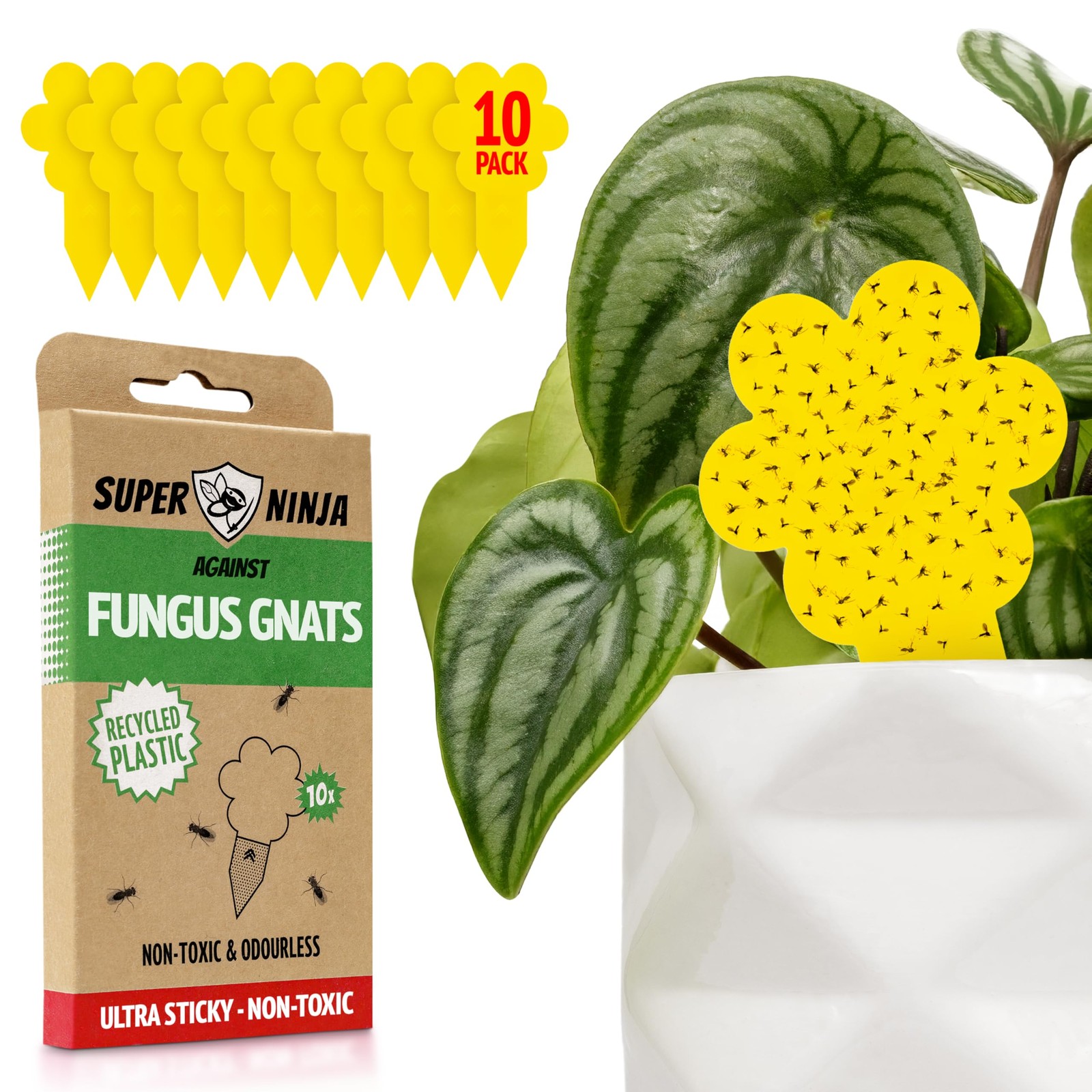 Super Ninja Fungus Gnat Killer - 10 Pack, Effective 10-Traps, Yellow