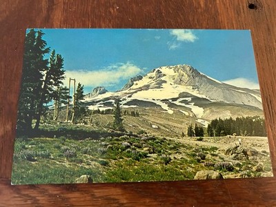 Mt Hood Oregon as viewed in Late Summer from Timberline Lodge Postcard