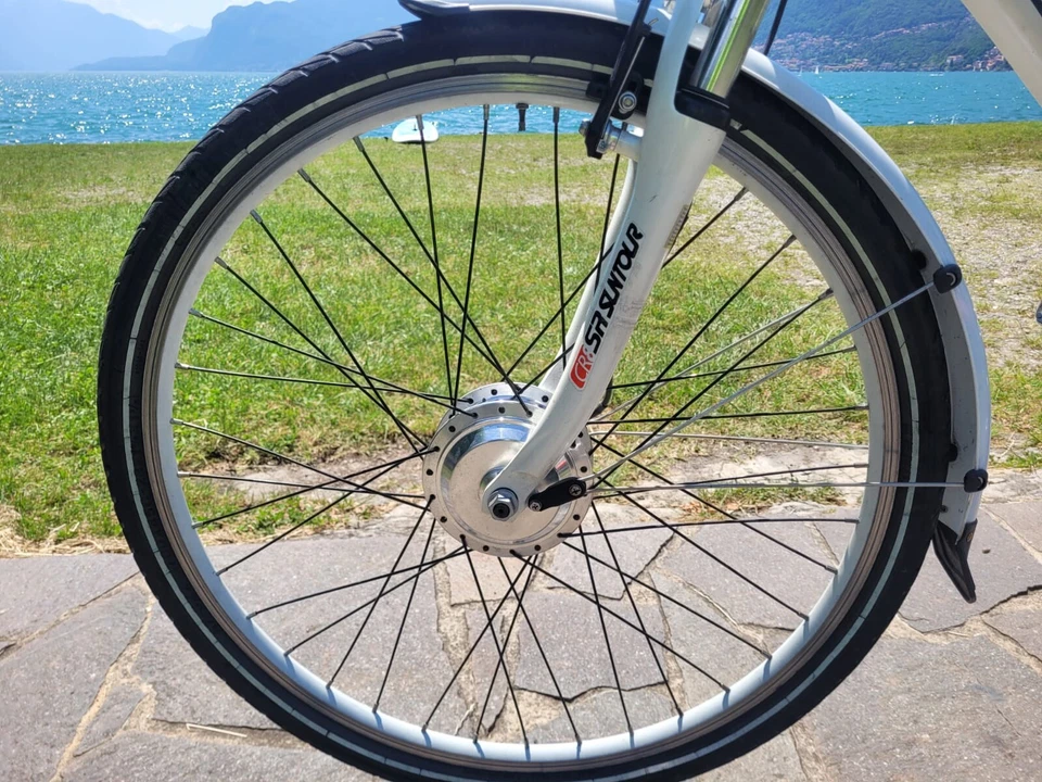 E-bike ADRIATICA: Ruote 28”, Batteria Nuova, Cambio Shimano di Alta Qualità - Immagine 4 di 4