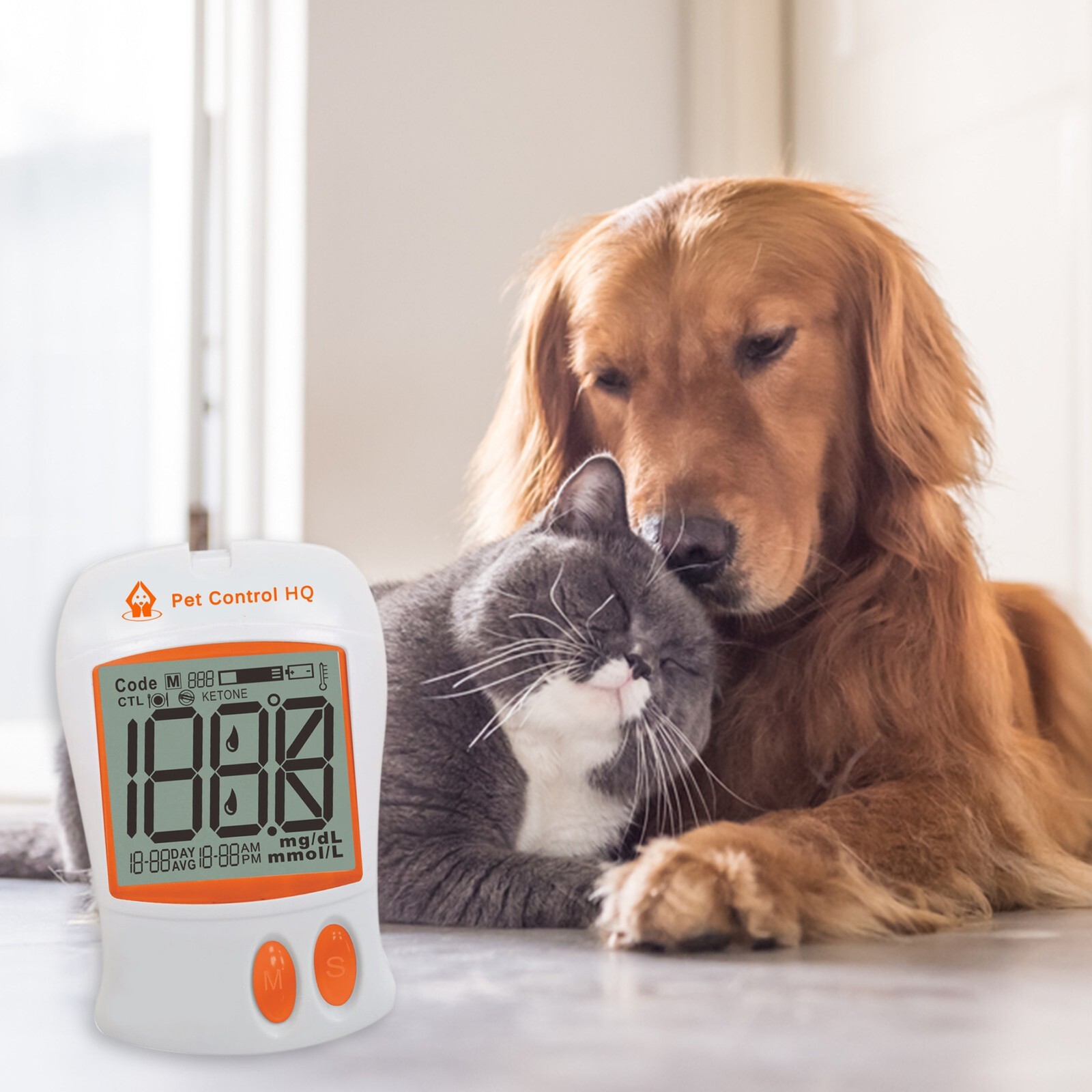 Blood glucose meter monitor dog cat dogs diabetes sugar