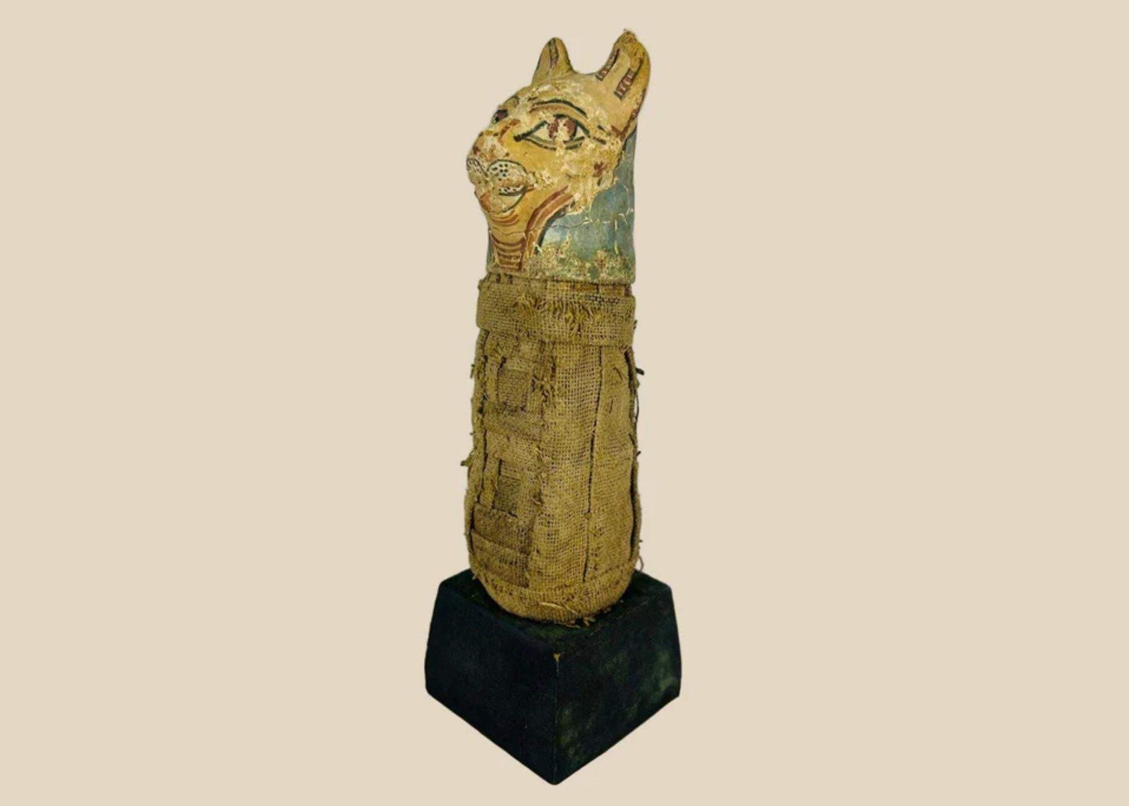 Ancient Egyptian Cat Mummy | Mummified Bastet Offering | 300–100 BCE