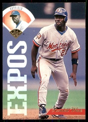 Randall White 1995