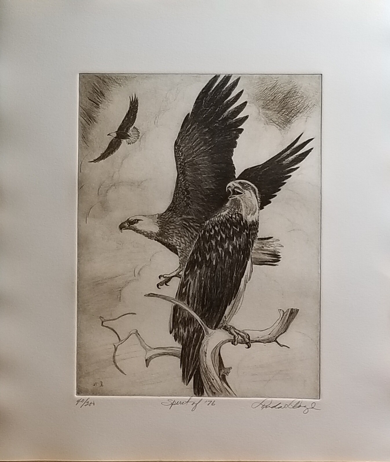 Picture 1 of 7