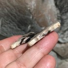 Foto 6 di 12