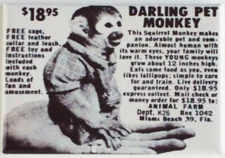 Darling Pet Monkey Magnet 2"x3" Refrigerator Locker Vintage Advertisement Retro