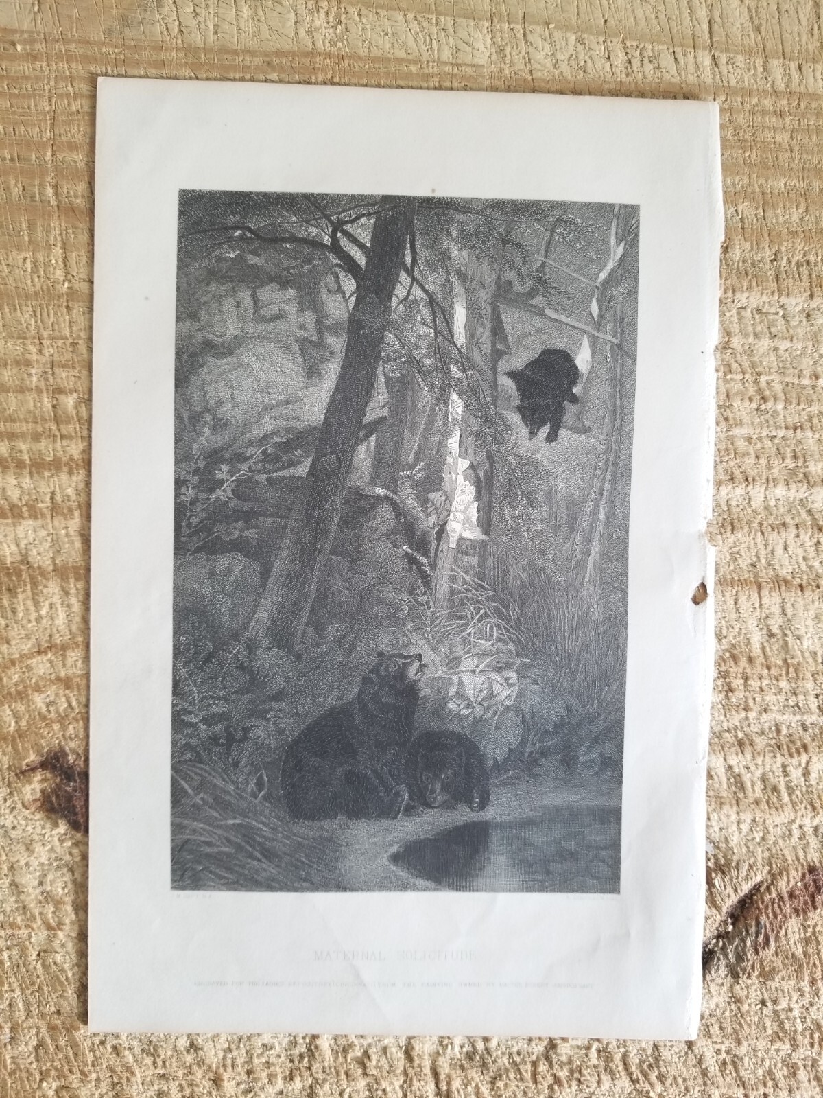 Picture 1 of 2