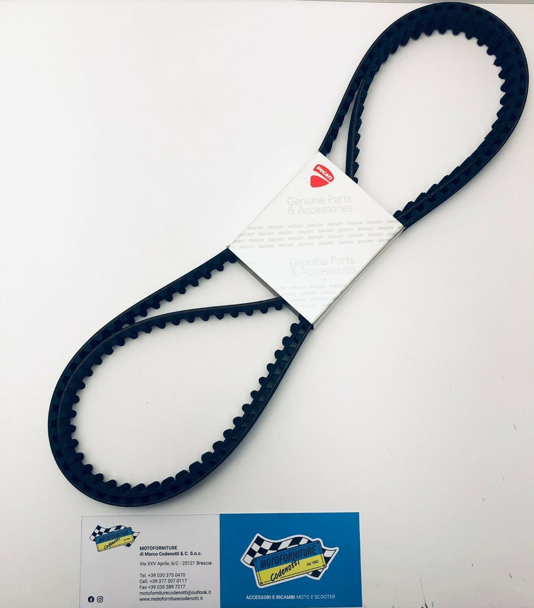 Brixia Moto Ricambi Moto San Marino Coppia Cinghie Distribuzione