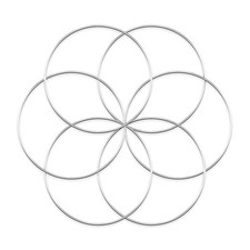 Worown 6 Pcs 10 Inch Floral Wreath Hoops, Silver Metal Rings for 25cm,