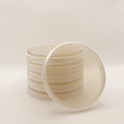 ANDEX 6x Pre-poured Nutrient Agar Petri Dishes in 90mm Plates