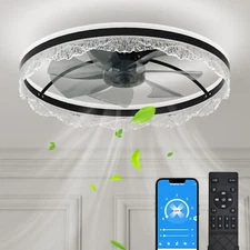 24" Ceiling Fan Light Flush Mount Modern LED Fixture kit With Remote APP Control