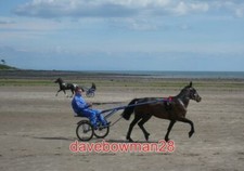 PHOTO  SULKY RACING FLY PAST AS THE PACE PICKS UP 2010