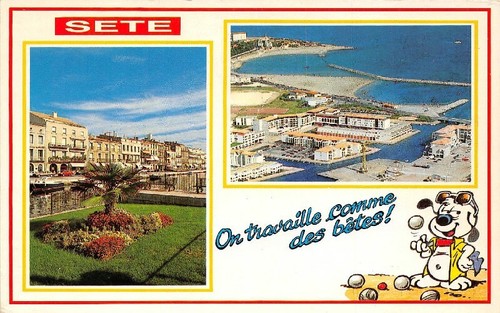 Sete - " On Lavoro Come Dei Bestien " - Multi-Vista - 第 1/2 張圖片