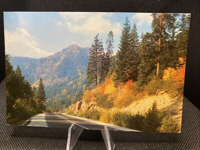 POSTCARD: Autumn Scene Stevens Pass Highway Cascade Mountains, Washington D14