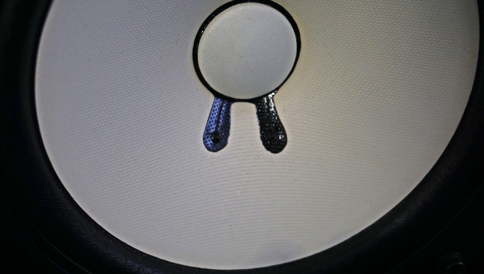 Picture 10 of 22