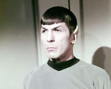 Leonard Nimoy as Mr Spock in Enterprise shirt Star Trek 8x10 photo