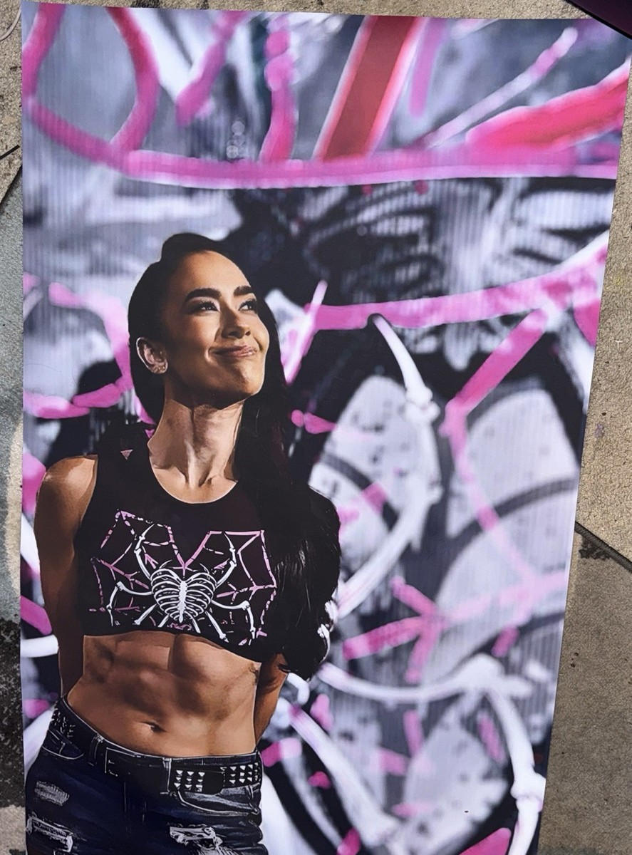WWE 2'X6' VINYL BANNER - AJ LEE - 6 FEET TALL! | eBay