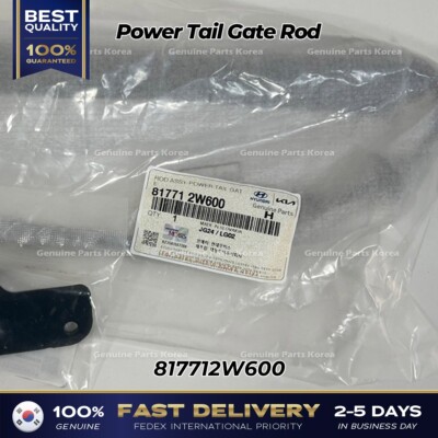 ⭐Genuine⭐ Power Tail Gate Rod 817712W600 for Hyundai Santa Fe | eBay