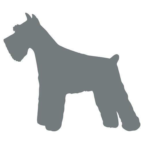 Miniature Mini Schnauzer vinyl decals phone laptop car sticker - Picture 7 of 9