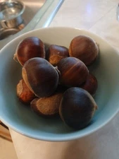 Chestnuts Local to St. Louis Missouri  ☆5 For $10☆