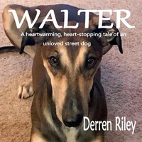 Derren Riley | Walter | Taschenbuch | Englisch (2018) | Kartoniert / Broschiert