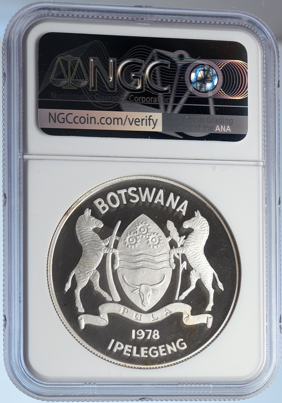 Picture 4 of 5