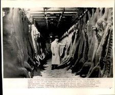 LD271 1944 AP Wire Photo SWIFT & CO COOLER ROOM FILLED WITH PORK MEAT RATIONING