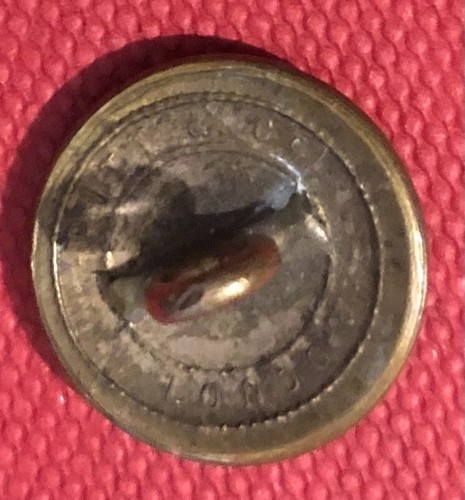 Wild Family Antique Livery Button 16mm - Picture 2 of 2