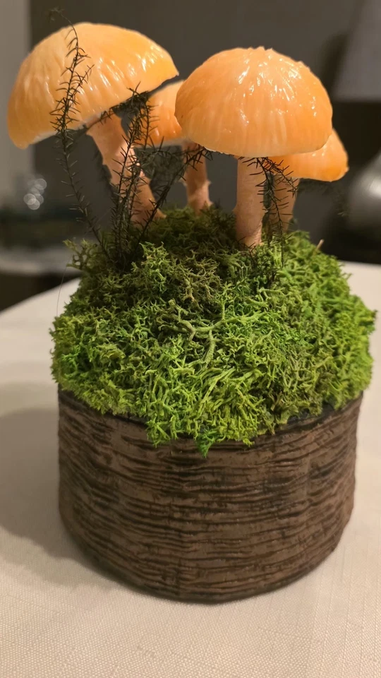 Mushroom And Moss Lighted Decor Four Mushrooms 3light That Illuminates The 4th - Image 3 of 4