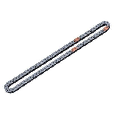 GM Genuine Parts Timing Chain GM Part #55489211 New Old Stock