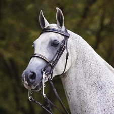 Leather Premium English Dressage Bridle for Horse Available Multiple All Sizes