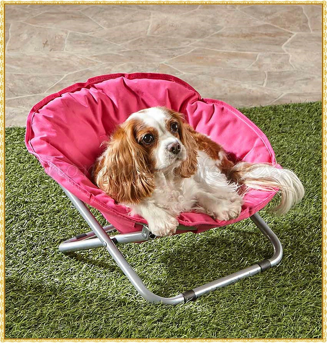 Dog lounge chair hot sale outdoor