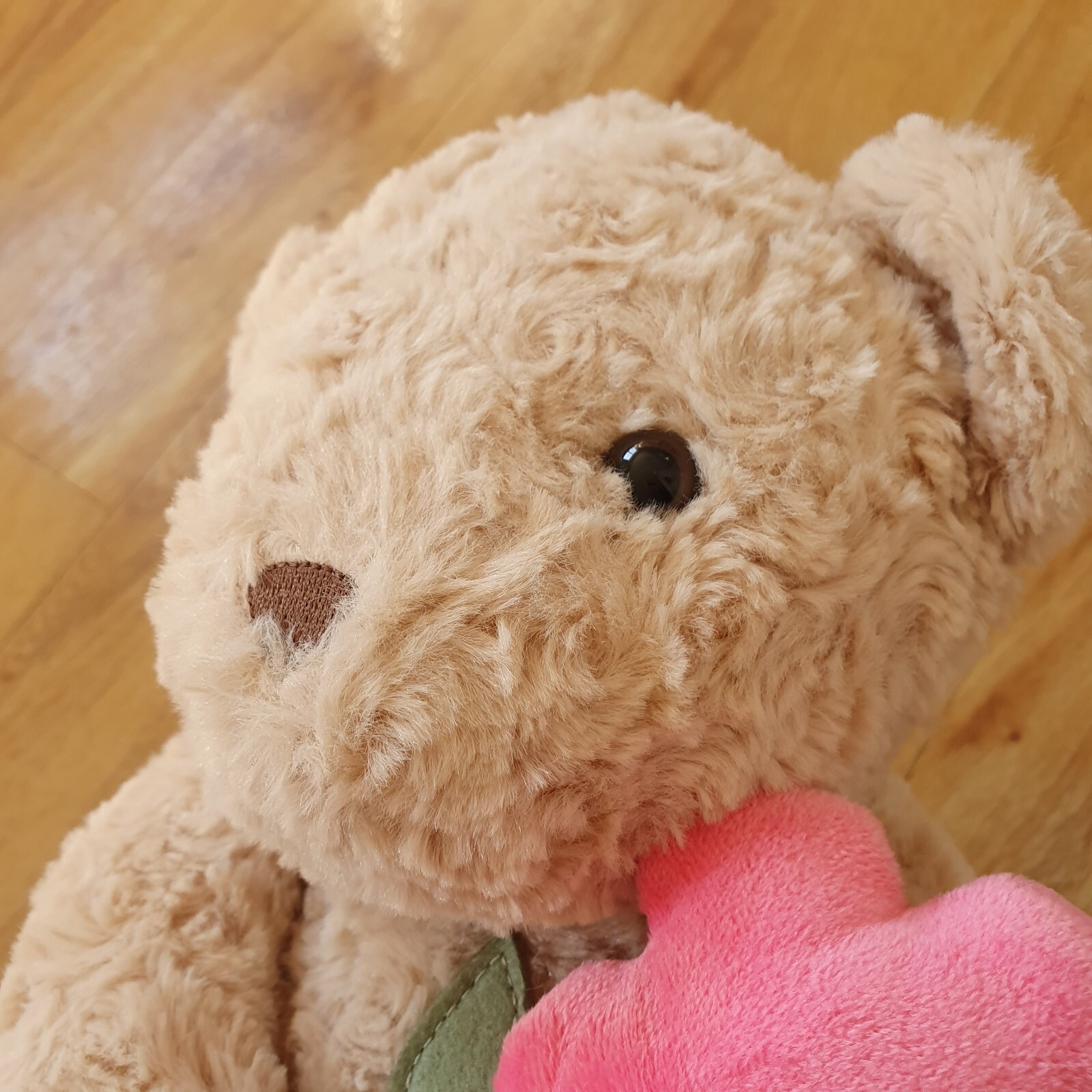Sainsburys Teddy Bear Holding A Pink Flower Plush Soft Toy Comforter 15