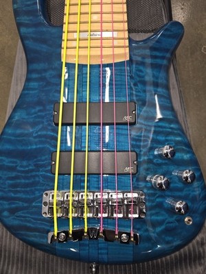 Warwick Custom Streamer Stage 1 Led 6 String Bass Electric Bass | eBay