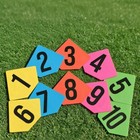 Afbeelding 9 van 10