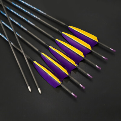 6/12pcs Carbon Feather Arrow 4.2mm 300 350 400 500 600 700 800 900 1000 Archery