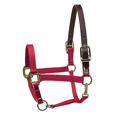 Perris Nylon Safety Halter
