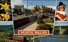 North Wales Conwy Castle vintage postcard s867