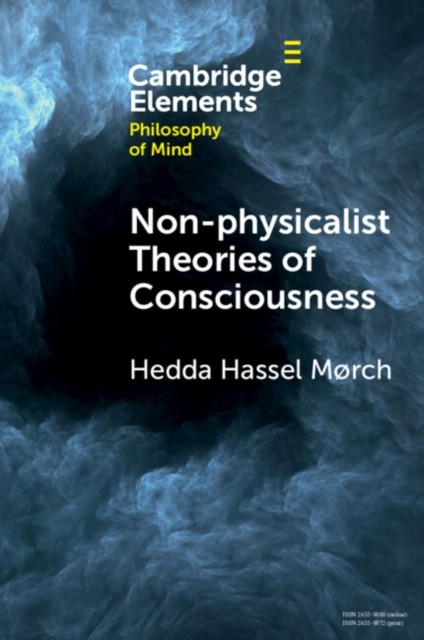 Nonphysicalist Theories of Consciousness by Hedda Hassel Mørch PAPERBACK - Image 2