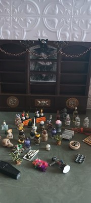 Dollhouse Miniature Shelf Of Curiosity Most Artisan Made Items OOAK Pre-Owned