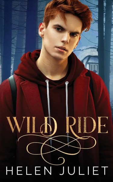 Wild Ride Helen Juliet Taschenbuch Kartoniert / Broschiert Englisch 2022-image