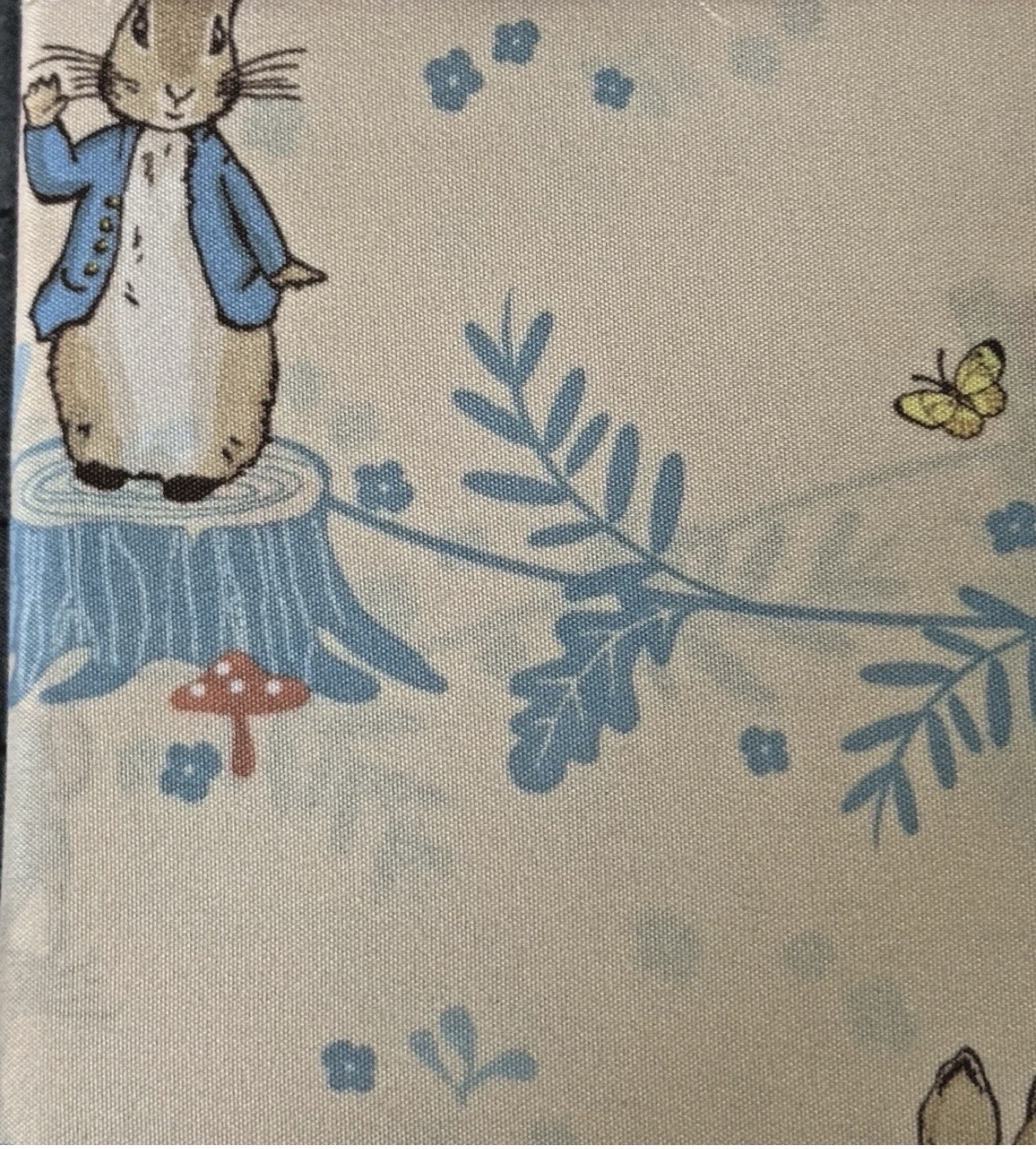 Picture 4