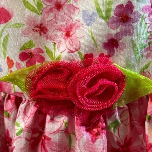 Bonnie Baby Beautiful Floral Formal Baby Girl Sleeveless Dress. - Picture 7 of 9
