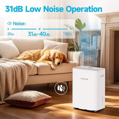 34 Pints Dehumidifiers for Home with 6.56ft Drain Hose, 2441 Sq.Ft Quite & Energ - Picture 5 of 6